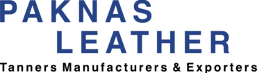Paknas Letter Logo